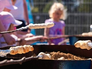 Holiday park Hulsig Outdoor Recording 3