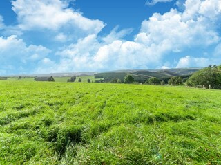 Casa de vacaciones Houffalize Entorno 35