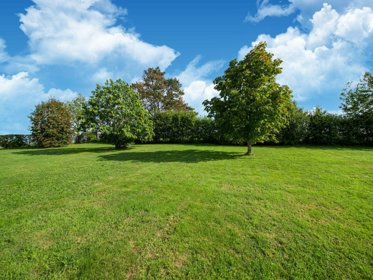 Ferienhaus Houffalize Außenaufnahme 7