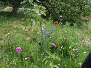 Casa per le vacanze Regen Registrazione all'aperto 8