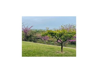 Villa Patra Buitenaudio-opname 14