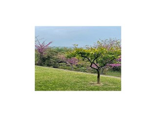 Villa Patra Buitenaudio-opname 8
