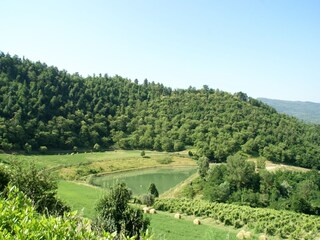 Fattoria Londa Ambiente 15
