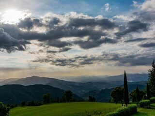 Fattoria Londa Ambiente 33