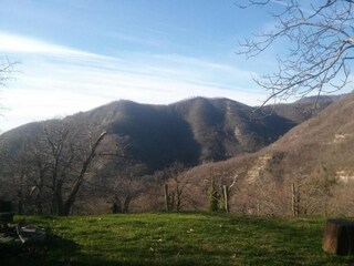 Fattoria Londa Ambiente 21
