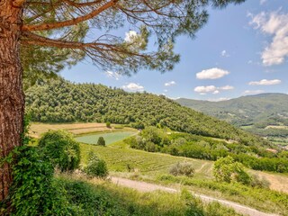 Casa per le vacanze Dicomano Ambiente 34