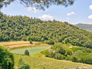 Casa per le vacanze Dicomano Ambiente 37
