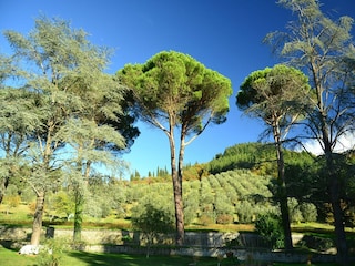 Ferienhaus Londa Außenaufnahme 6