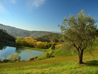Casa per le vacanze Londa Registrazione all'aperto 5