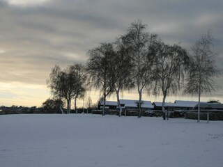 Holiday house Enø  18