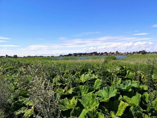 Maison de vacances Enø  20