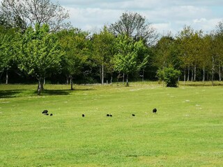 Holiday house Enø  29