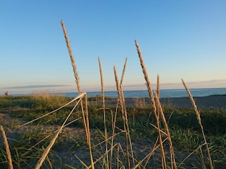 Maison de vacances Enø  32