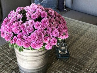 Ferienhaus Fiskå Außenaufnahme 8