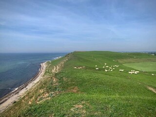 Vakantiehuis Glemmingebro  52