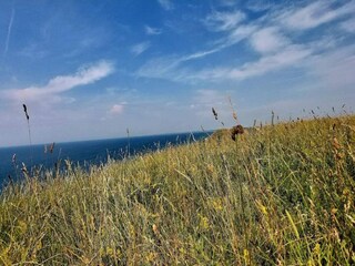 Vakantiehuis Glemmingebro  53