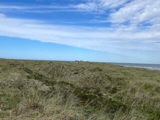 Casa de vacaciones Læsø  35