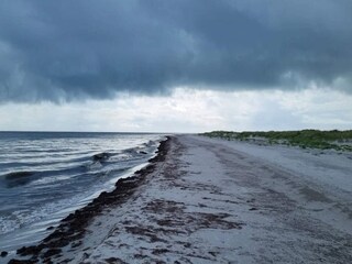 Vakantiehuis Læsø  34