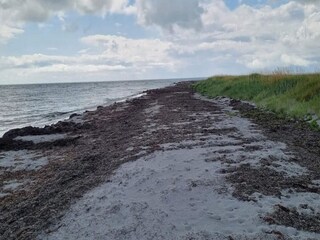 Ferienhaus Læsø  40