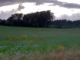 Vakantiehuis Falkenberg (Schweden)  11