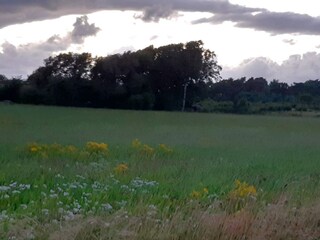 Ferienhaus Falkenberg (Schweden)  21