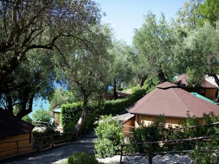 Ferienpark Pisciotta Außenaufnahme 1