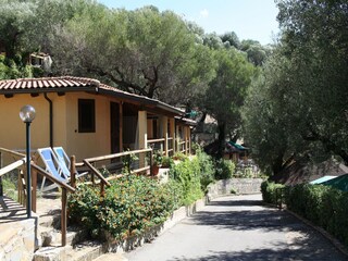 Ferienpark Pisciotta Außenaufnahme 2