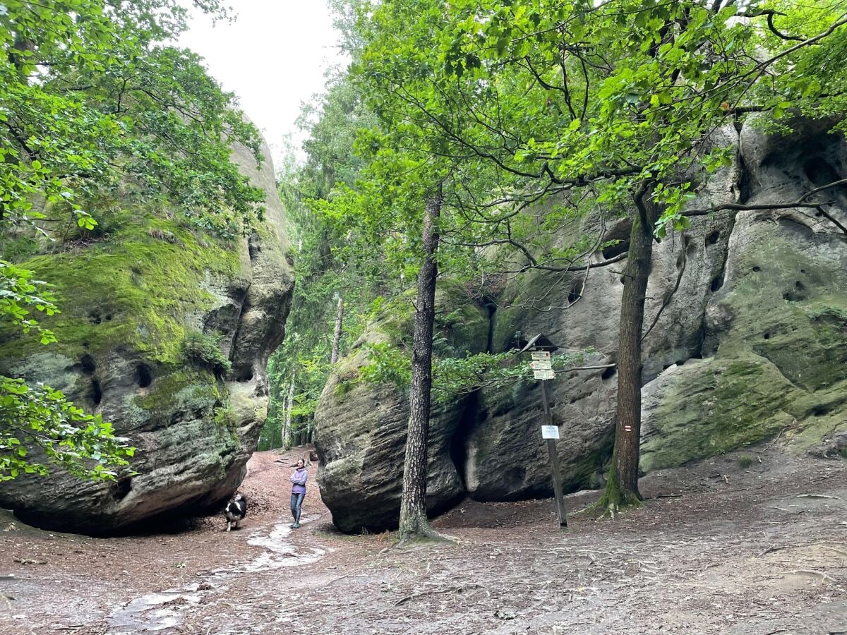 Ferienhaus Jablonne v Podjestedi Umgebung 24