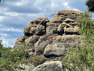 Casa per le vacanze Jablonne v Podjestedi Ambiente 36