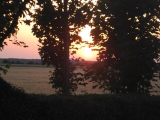 Appartement Eilenburg Omgeving 26