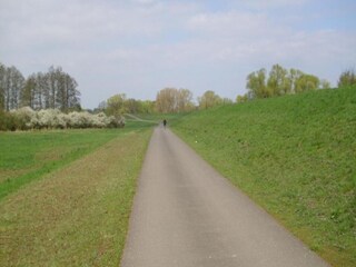 Appartement Eilenburg Environnement 20