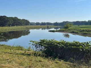 Appartement Eilenburg Environnement 15