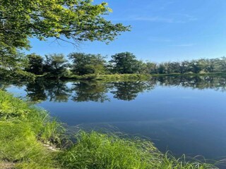 Appartement Eilenburg Environnement 15