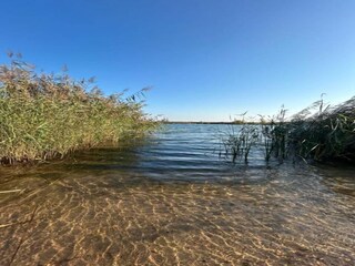 Appartement Eilenburg Environnement 27