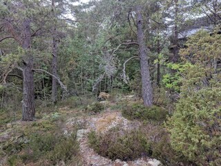 Vakantiehuis Värmdö  13