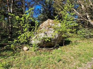 Casa per le vacanze Värmdö  27