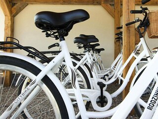 Parco vacanze Wicie  28