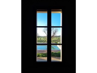 Holiday apartment Torrita di Siena Outdoor Recording 10