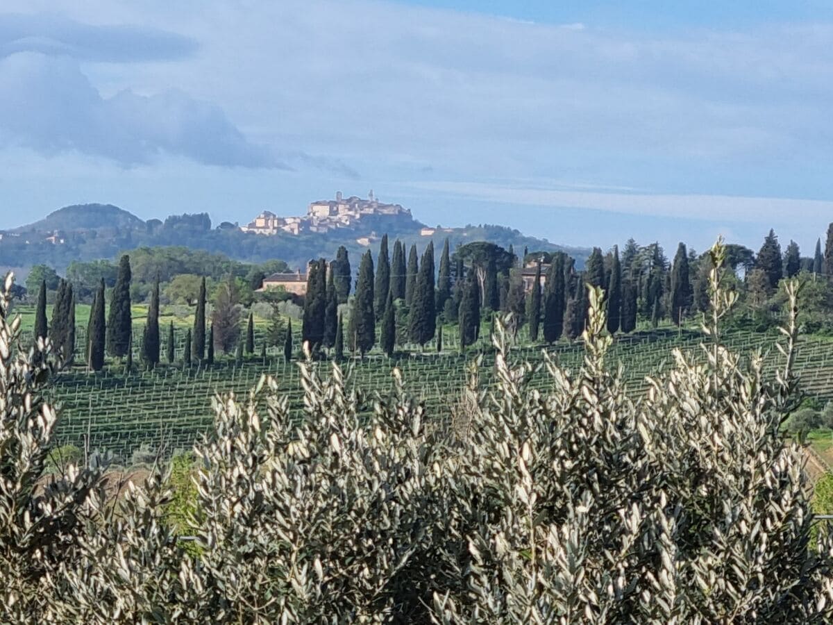 Ferienwohnung Torrita di Siena Umgebung 39