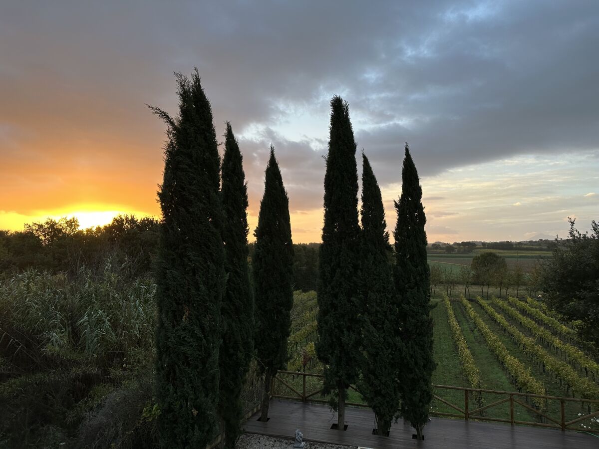 Ferienwohnung Torrita di Siena Außenaufnahme 5