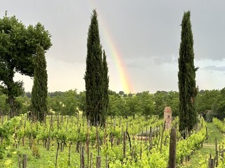 Holiday apartment Torrita di Siena Outdoor Recording 14