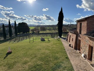 Holiday apartment Torrita di Siena Outdoor Recording 13