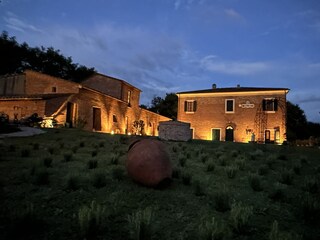 Holiday apartment Torrita di Siena Outdoor Recording 2