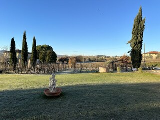 Holiday apartment Torrita di Siena Outdoor Recording 10