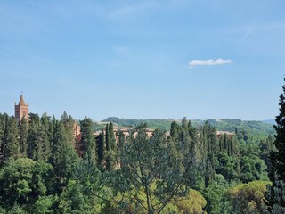 Holiday apartment Torrita di Siena Environment 32