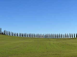 Holiday apartment Torrita di Siena Environment 30