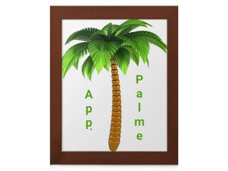 Appartment Palme