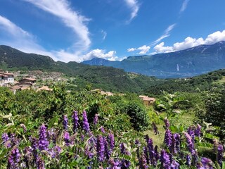 Ferienwohnung Tremosine sul Garda Umgebung 20