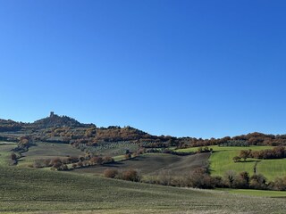 Holiday apartment Torrita di Siena Environment 34