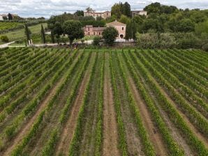 Ferienwohnung Fornace del Conte - Elefantino - Torrita di Siena - image1